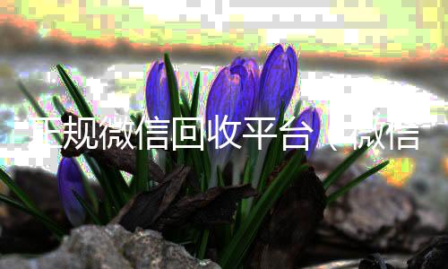 正规微信回收平个人回收vx秒结台（微信回收平台联系方式）