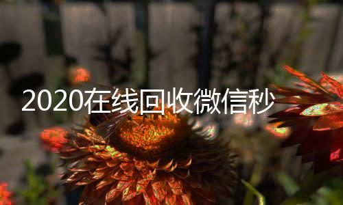 2020在线回收vx回收联系方式微信秒结（高价回收微信秒结）